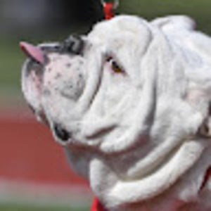 Meet your Posher, Lewis